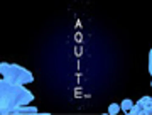 Copertina di Art Style: Aquite