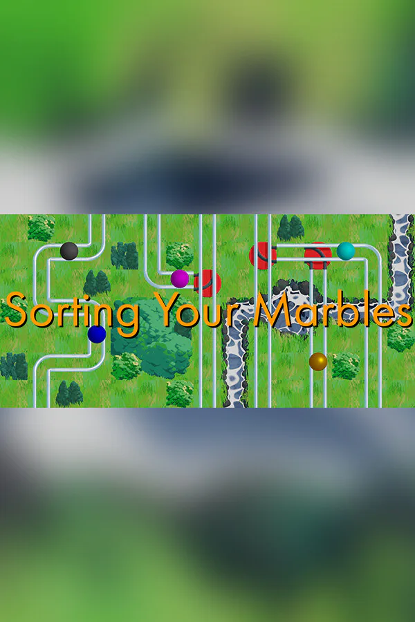 Copertina di Sorting Your Marbles