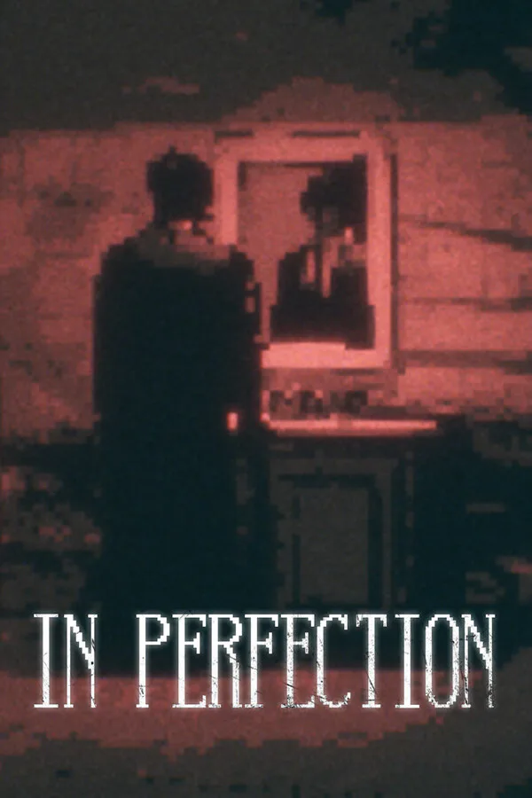 Copertina di In Perfection