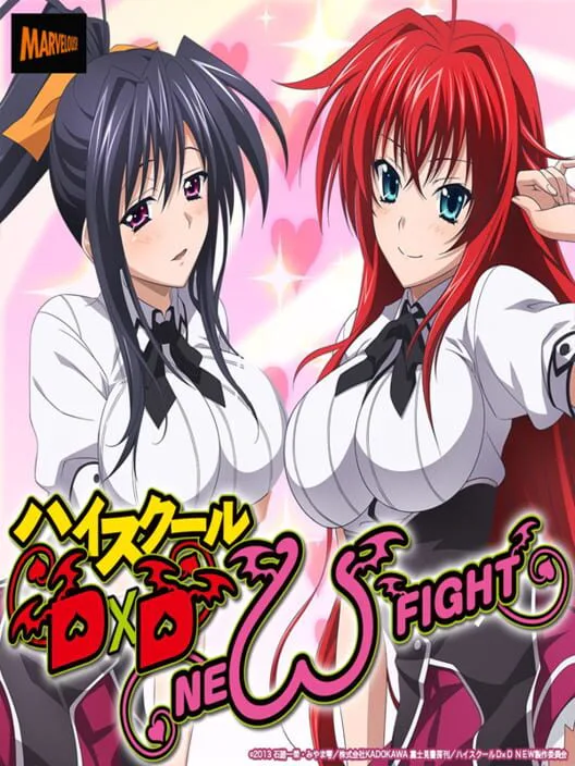 Copertina di High School DxD: New Fight