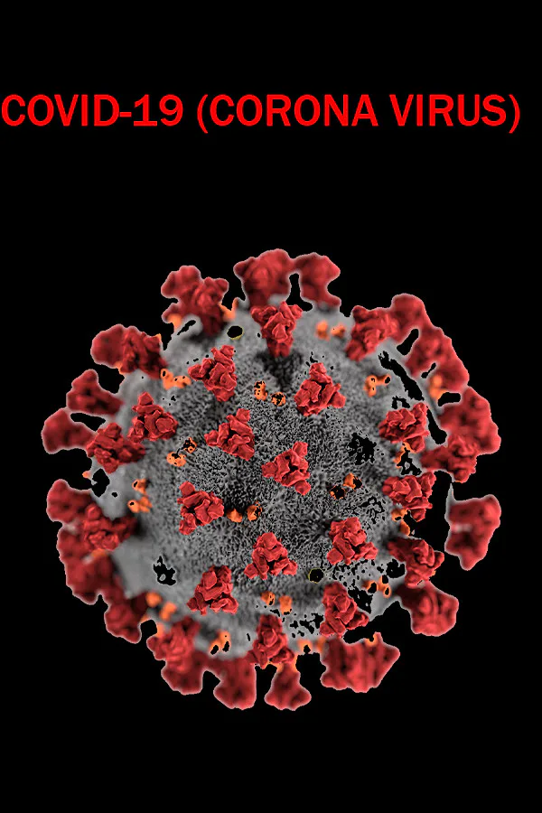 Copertina di COVID-19 (CORONA VIRUS)