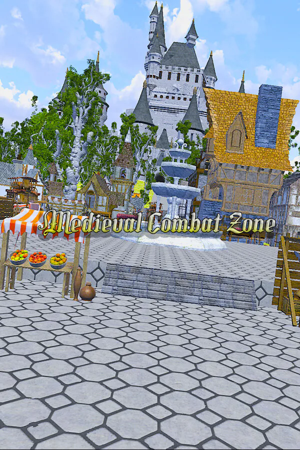 Copertina di Medieval Combat Zone