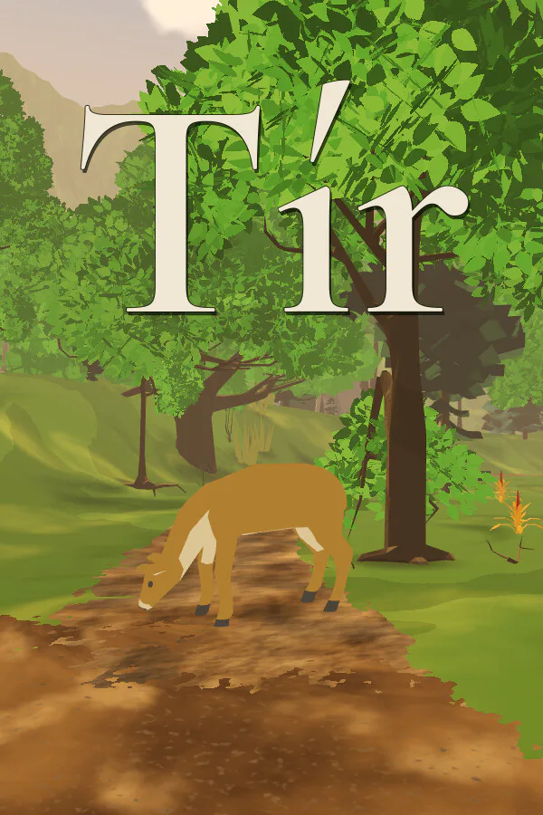 Copertina di Tír