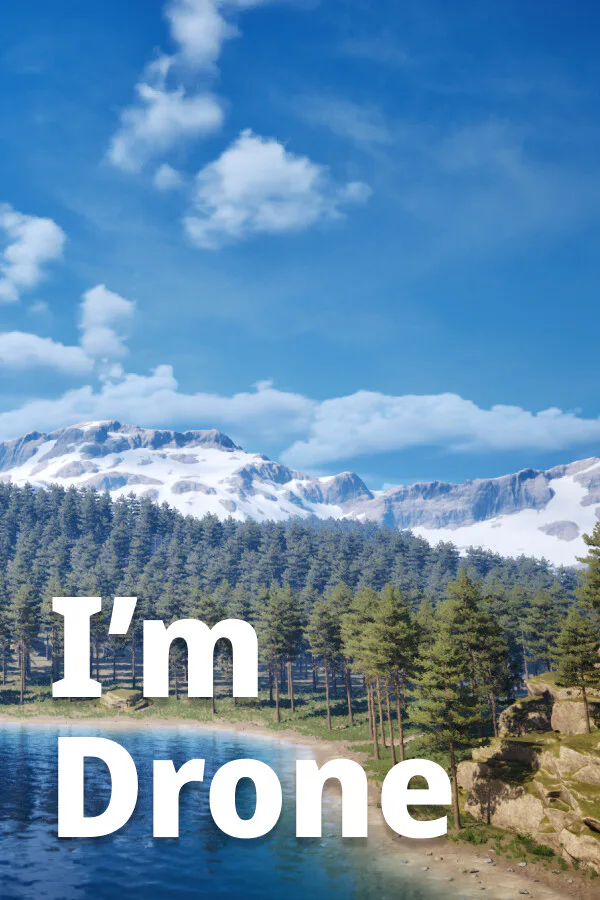 Copertina di I'm drone