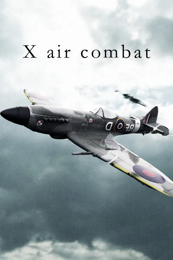 Copertina di X air combat