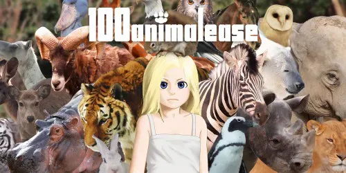 Copertina di 100animalease