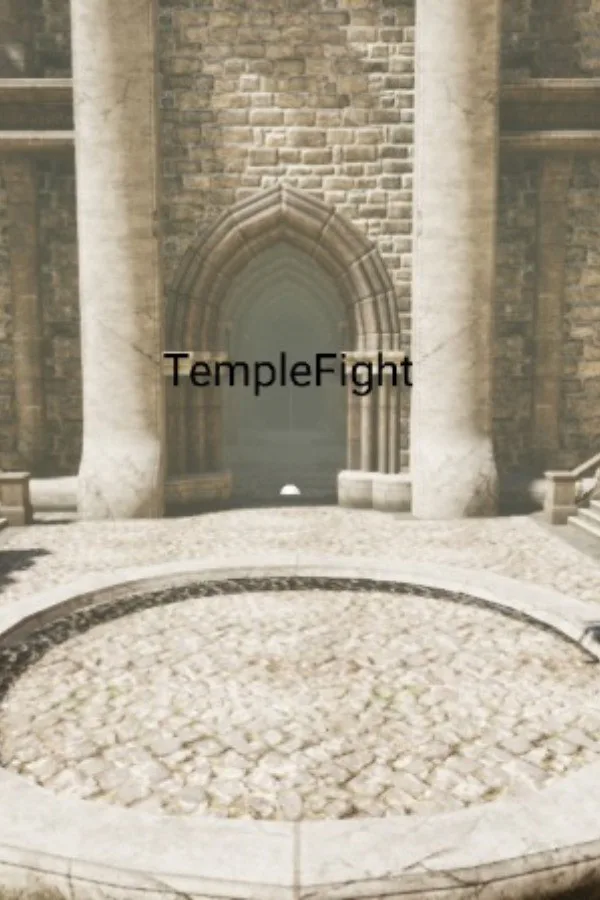 Copertina di TempleFight