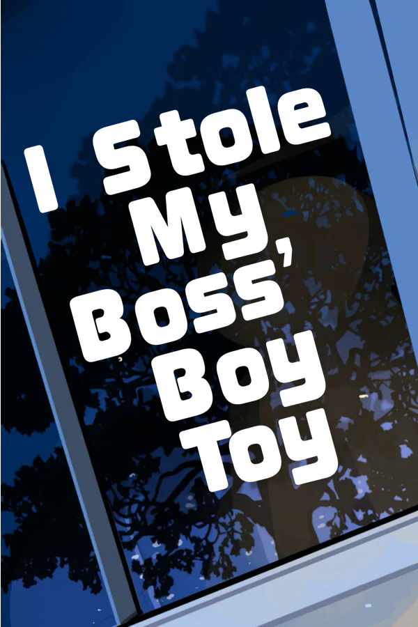 Copertina di I Stole My Boss' Boy Toy