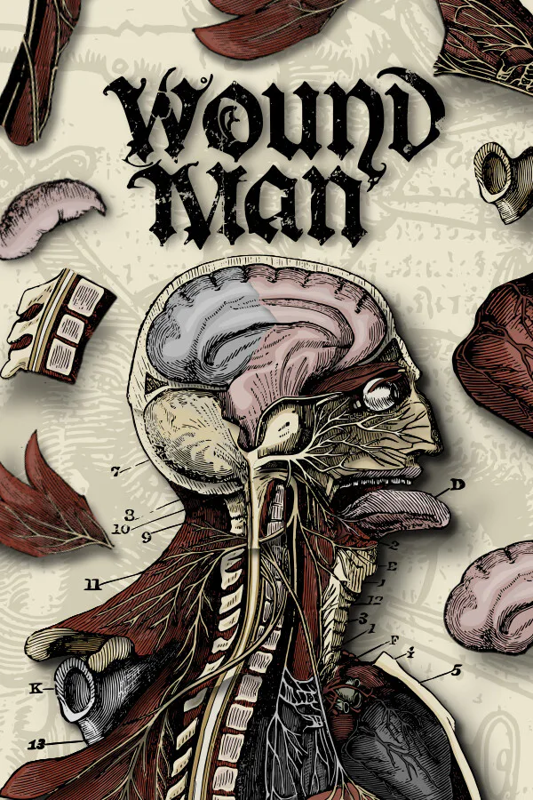 Copertina di Wound Man