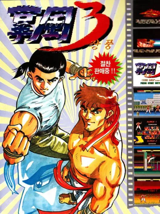 Copertina di Jang Pung 3