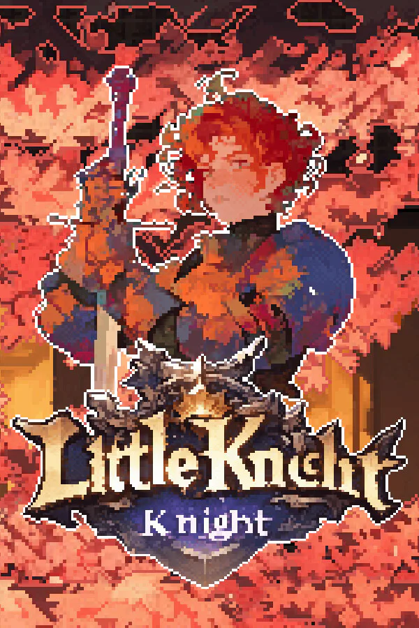 Copertina di 小骑士