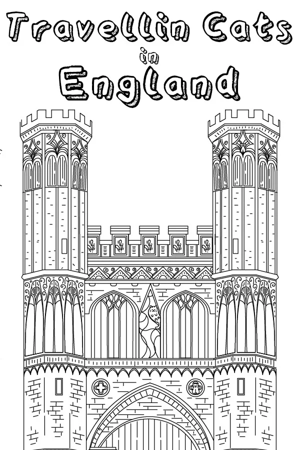 Copertina di Travellin Cats in England