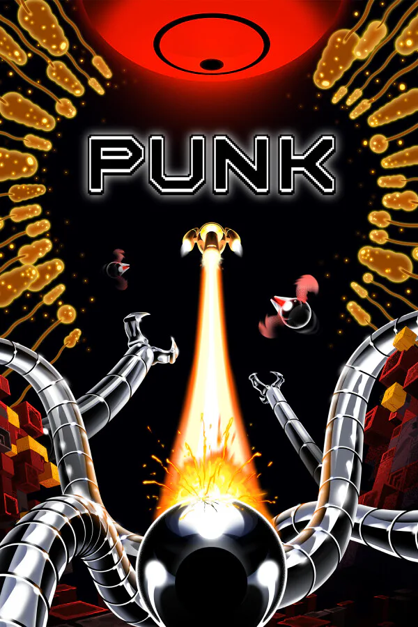 Copertina di PUNK