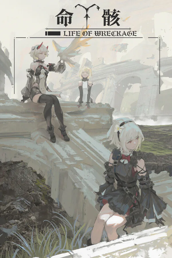 Copertina di 命骸