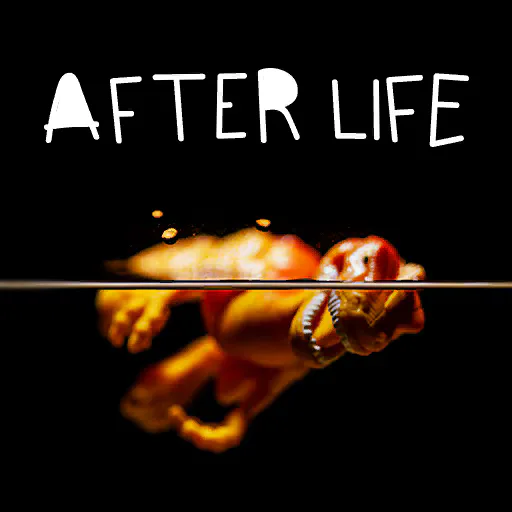Copertina di Afterlife