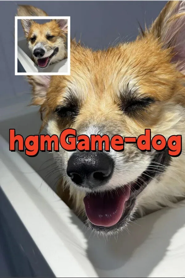 Copertina di hgmGame-dog