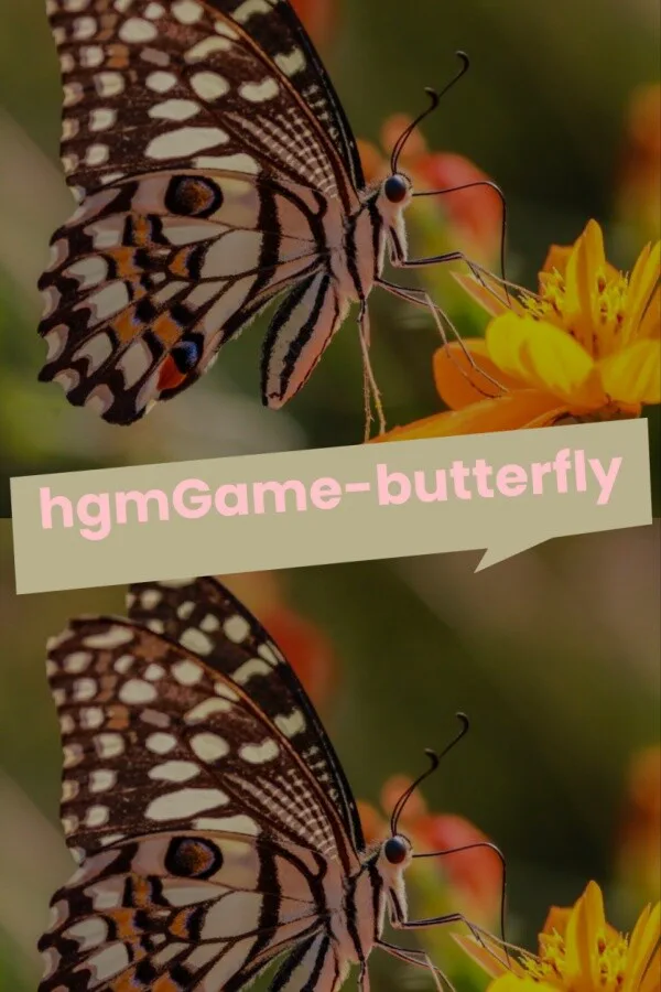 Copertina di hgmGame-butterfly