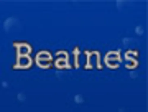 Copertina di Electroplankton™ Beatnes
