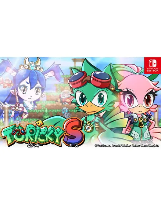 Copertina di Toricky S