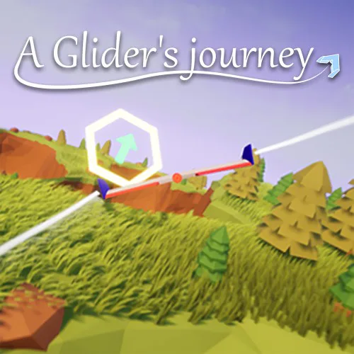 Copertina di A Glider's Journey