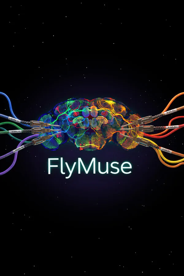 Copertina di FlyMuse