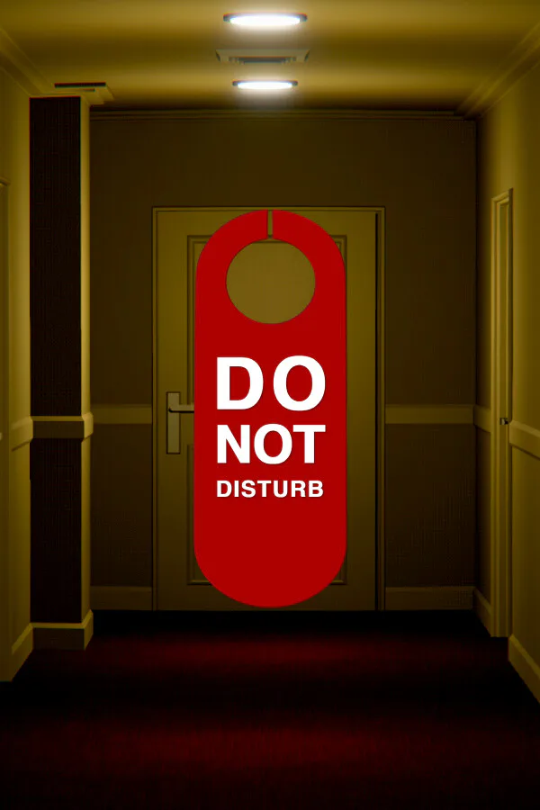 Copertina di Do Not Disturb