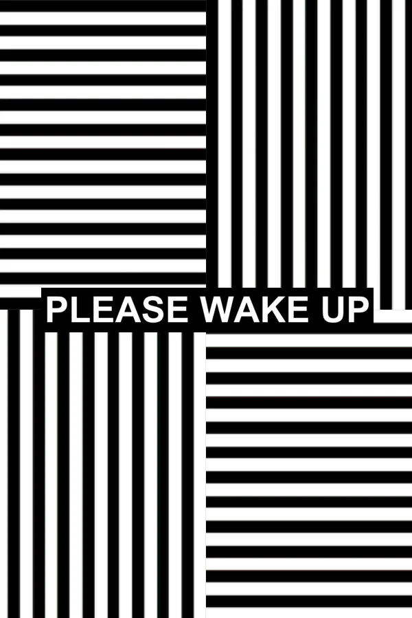 Copertina di Please Wake Up