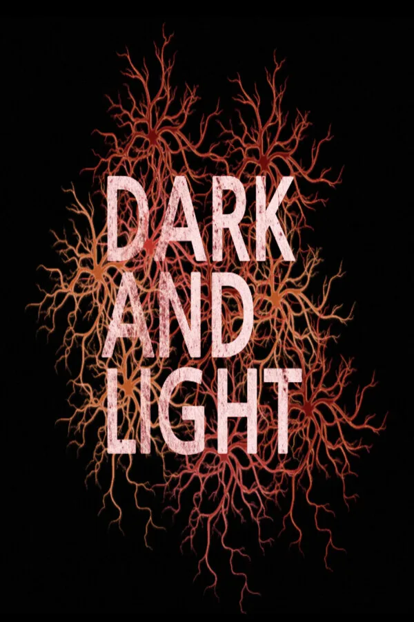 Copertina di DarkAndLight