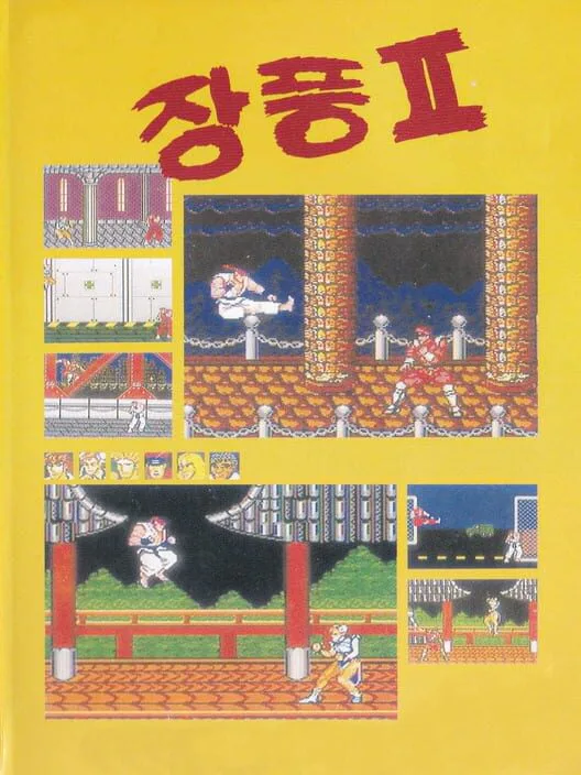 Copertina di Jang Pung II