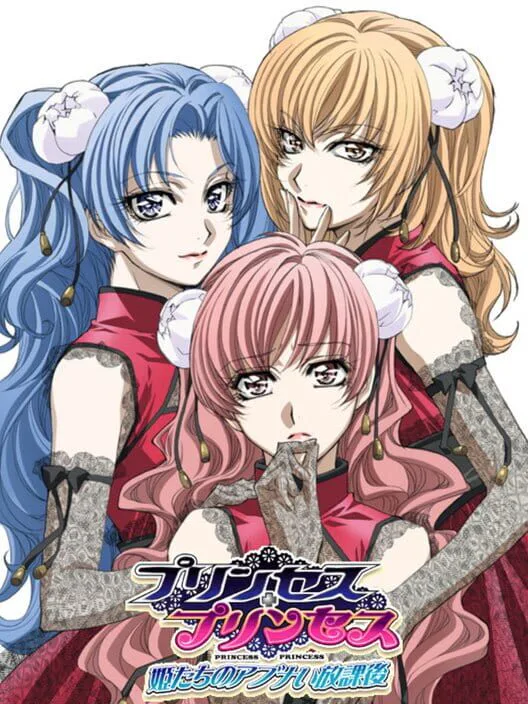 Copertina di Princess Princess: Himetachi no Abunai Houkago