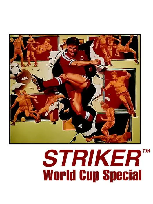 Copertina di Striker: World Cup Special