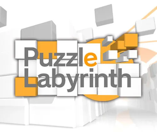 Copertina di Puzzle Labyrinth