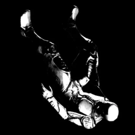 Copertina di The Fall