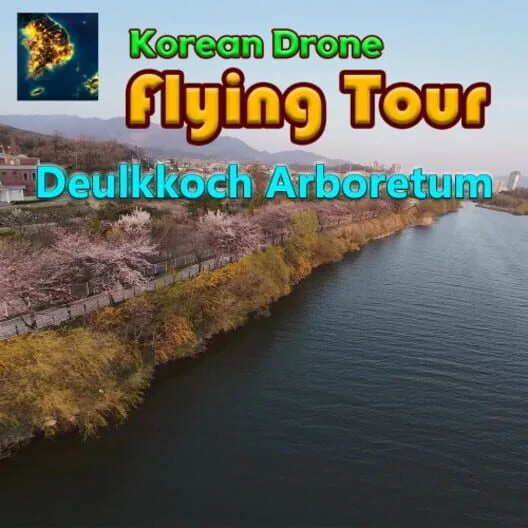 Copertina di Korean Drone Flying Tour Deulkkoch Arboretum
