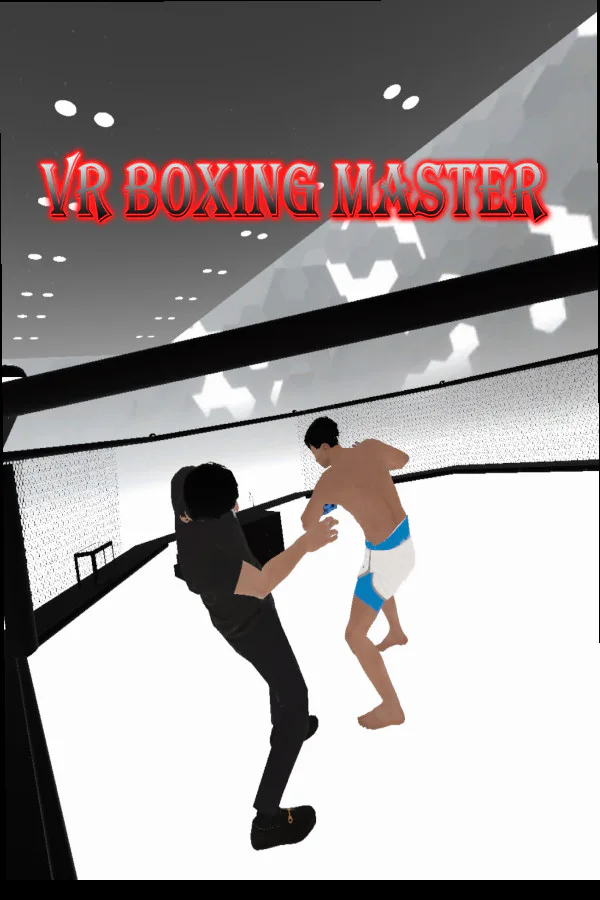 Copertina di VR BOXING MASTER