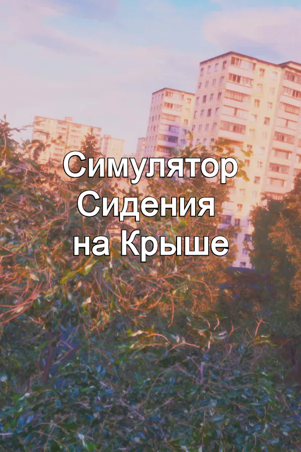 Copertina di Симулятор Сидения на Крыше