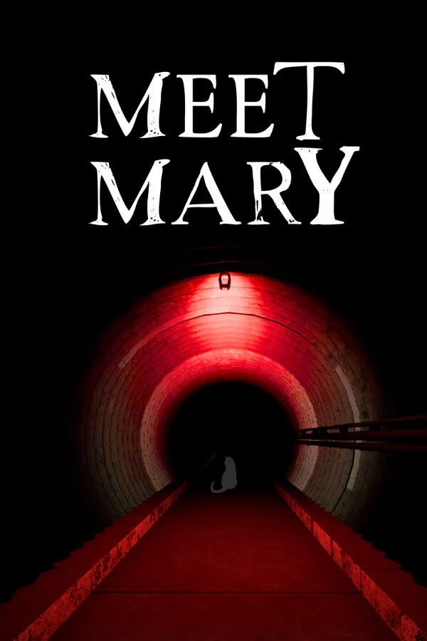 Copertina di Meet Mary