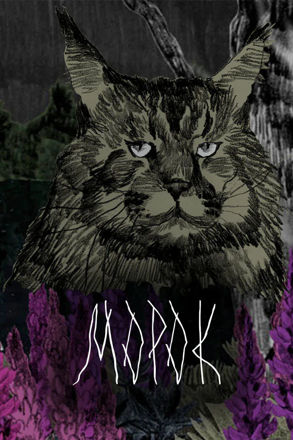 Copertina di Morok