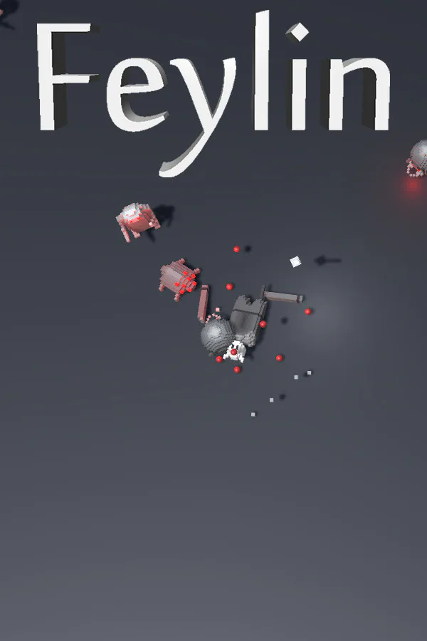 Copertina di Feylin