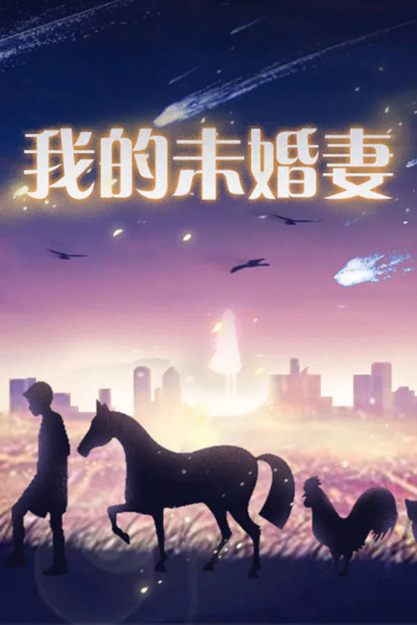Copertina di 我的未婚妻