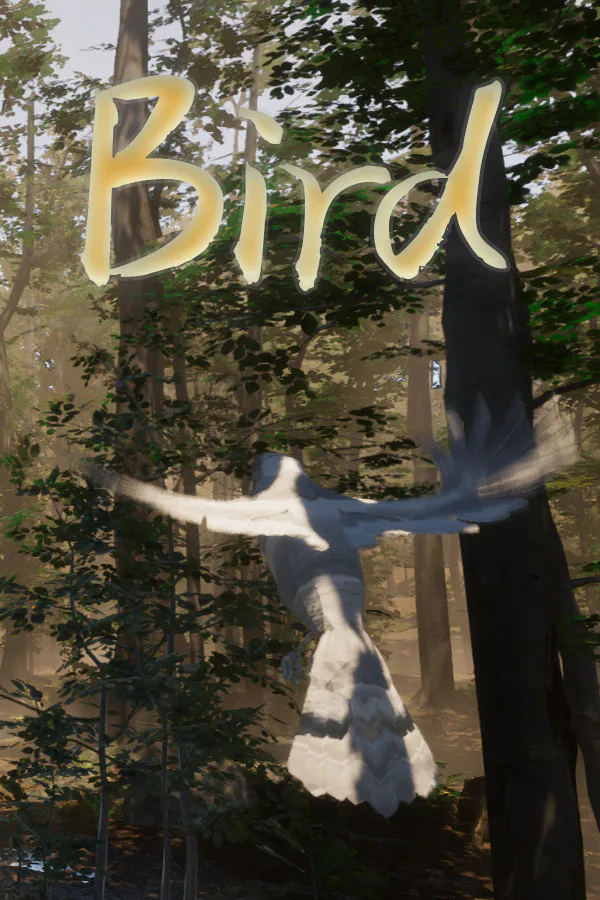 Copertina di Bird
