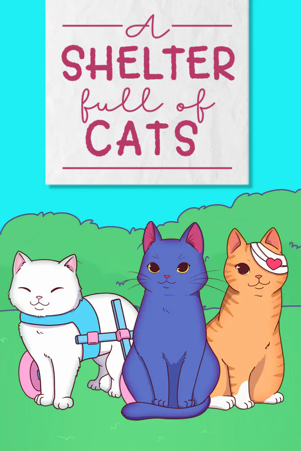 Copertina di A Shelter Full of Cats