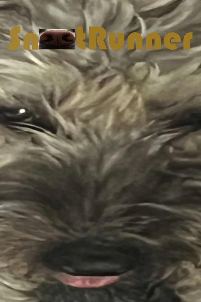 Copertina di Snoot Runner