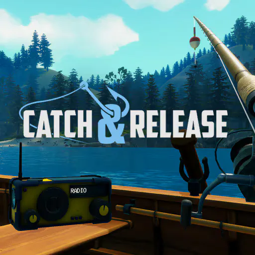Copertina di Catch & Release