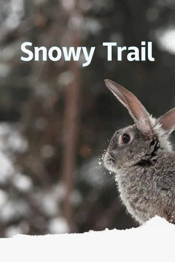 Copertina di Snowy Trail