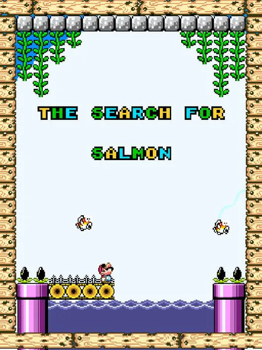 Copertina di The Search for Salmon