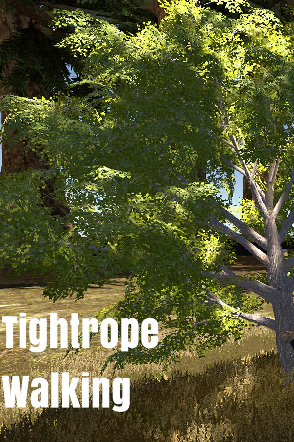 Copertina di Tightrope Walking