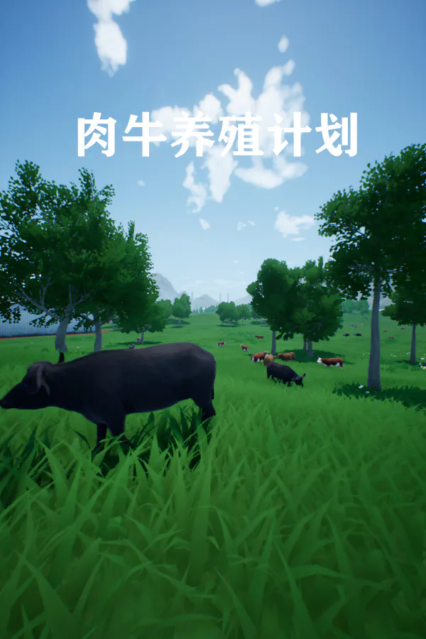 Copertina di 肉牛养殖计划