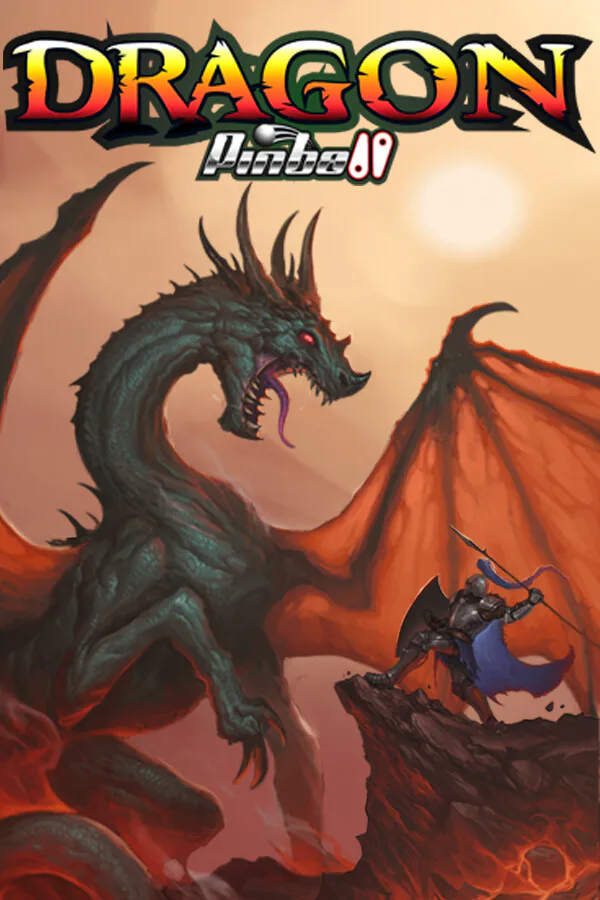 Copertina di Dragon Pinball