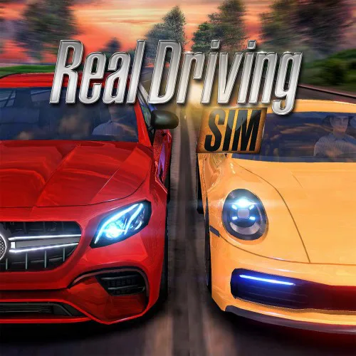 Copertina di Real Driving Sim